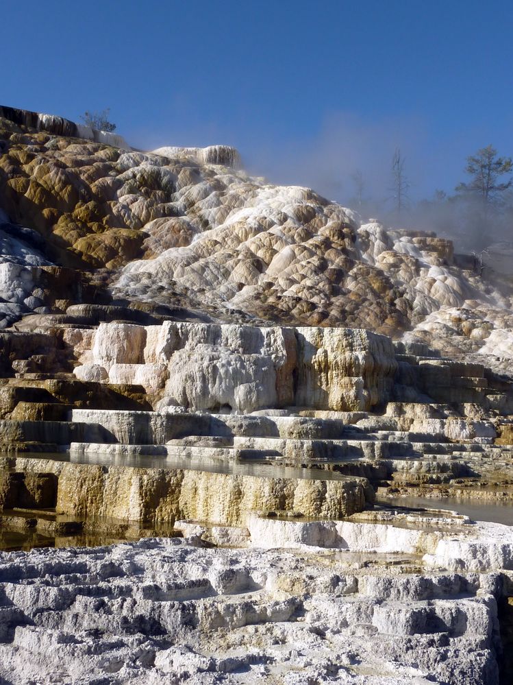 Yellowstone Mammoth Hotsprings (25).JPG